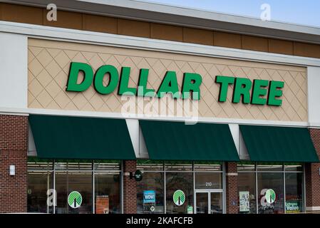 Ein Dollar Tree-Geschäft in Amsterdam, NY Stockfoto
