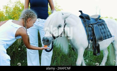 Kinder, ein Junge und ein Mädchen von sieben Jahren, fütterten ein weißes Pony, geben Karotten zu essen. Fröhlicher, glücklicher Familienurlaub. Im Freien, im Sommer, in der Nähe des Waldes. Hochwertige Fotos Stockfoto