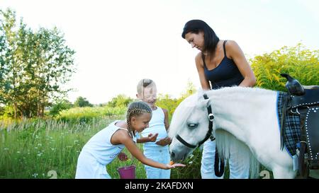 Kinder, ein Junge und ein Mädchen von sieben Jahren, fütterten ein weißes Pony, geben Karotten zu essen. Fröhlicher, glücklicher Familienurlaub. Im Freien, im Sommer, in der Nähe des Waldes. Hochwertige Fotos Stockfoto