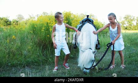 Kinder, ein Junge und ein Mädchen von sieben Jahren streicheln ein weißes Pony. Fröhlicher, glücklicher Familienurlaub. Im Freien, im Sommer, in der Nähe des Waldes. Hochwertige Fotos Stockfoto