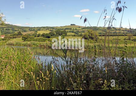 Kelston Hill in der Nähe von Bath, von der anderen Seite des Flusses Bristol Avon im Dorf Saltford aus gesehen. Sommer 2022. Juni/Juli Stockfoto