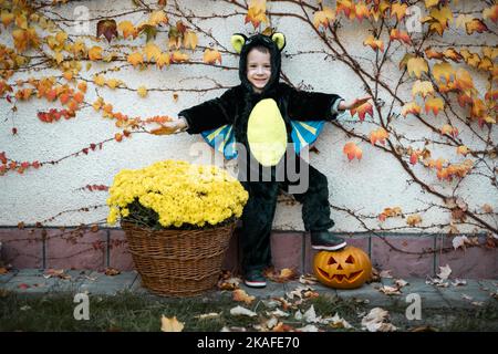 Fröhlicher Junge trägt in Halloween Fledermaus Vampir Kostüm mit Jack-o-Laterne Kürbis Stockfoto