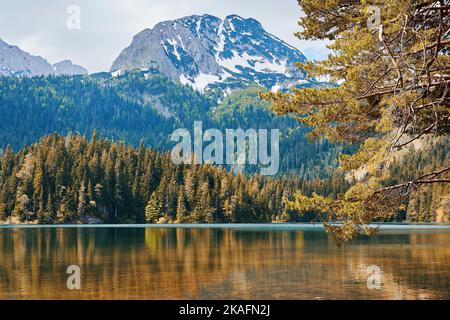 Montenegro Bobotov kuk Gipfel und schwarzen See mit Herbstnatur und Pflanzen. Berühmte Naturlandschaften Stockfoto