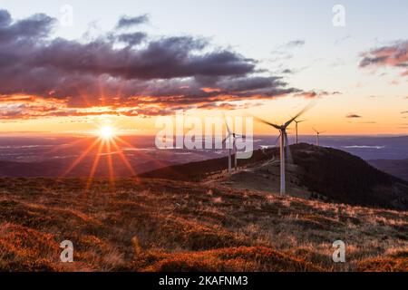 Eine Gruppe von Windmühlen am frühen Morgen während des Sonnenaufgangs in Österreich Stockfoto