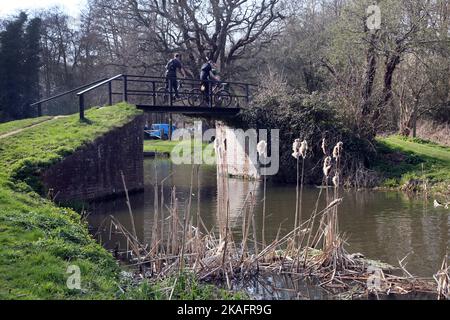 Radfahrer, die über eine Fußgängerbrücke am walsham Lock River fahren, fahren durch surrey england Stockfoto