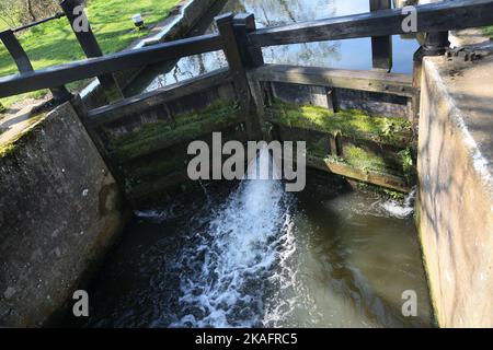 newark Lock River wey Navigation pyrford surrey england Stockfoto