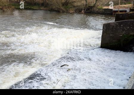 walsham Wehr Lock River wey Navigation surrey england Stockfoto