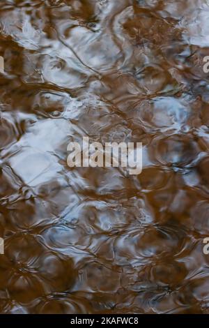 Wasserspiegelung im Herbst Stockfoto