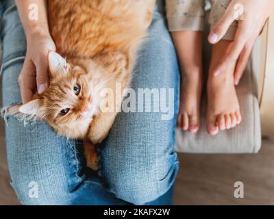 Draufsicht auf niedliche Ingwer-Katze, die auf Knien liegt. Frau in Jeans sitzt auf dem Stuhl mit Kleinkind und mit flauschigen Haustier auf den Knien. Gemütliches Zuhause für Haustiere. Stockfoto