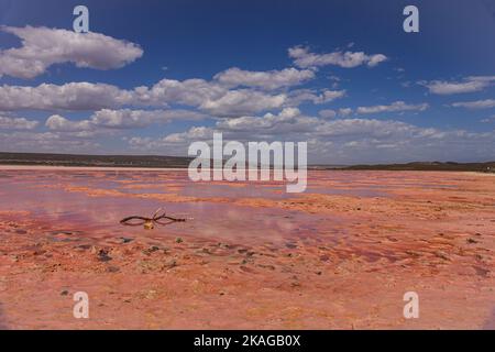 Der Hutt Lagoon Pink Lake in der Region Port Gregory von Kalbarri in Westaustralien zeigt beim Austrocknen seine andere rosa Farbe. Stockfoto