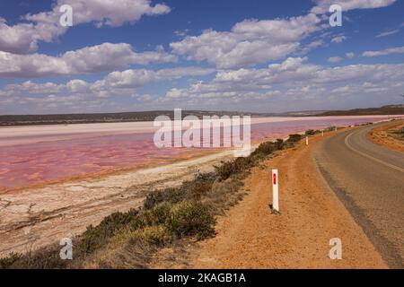Gregory Gray Drive Road schlängelt sich am Wasser entlang mit verschiedenen rosa Farbtönen des Hutt Lagoon Pink Lake in Port Gregory, Westaustralien. Stockfoto