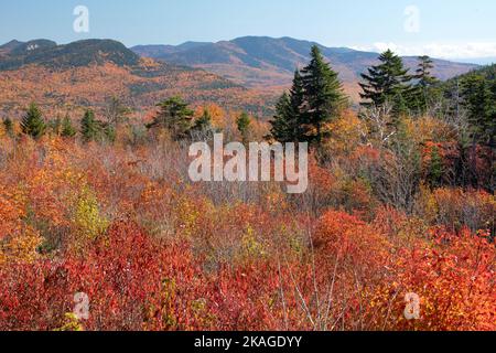 Atemberaubende Aussicht auf das lebendige Herbstlaub und die ferne Bergkette im White Mountain National Forest vom malerischen Aussichtspunkt entlang des Kancamagus Highway. Stockfoto