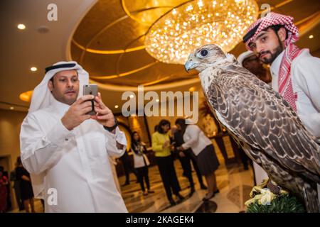 Doha, Katar, Mai 01,2022 : Arabischer Falcon mit Lederhaube auf Falconer's Glove. Stockfoto