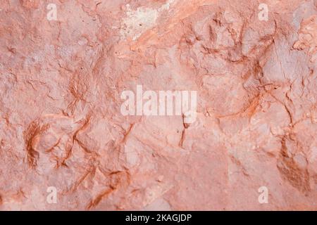 Eschbach, Deutschland. 20. September 2022. Der Abdruck der Vorder- und Hinterfüße eines Moradisaurus ist in einem Stein an einer Ausgrabungsstätte auf Schloss Madenburg zu sehen. Quelle: Uwe Anspach/dpa/Alamy Live News Stockfoto