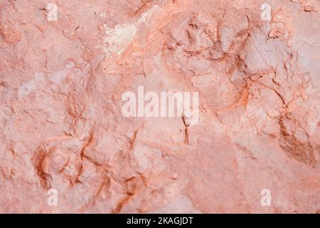 Eschbach, Deutschland. 20. September 2022. Der Abdruck der Vorder- und Hinterfüße eines Moradisaurus ist in einem Stein an einer Ausgrabungsstätte auf Schloss Madenburg zu sehen. Quelle: Uwe Anspach/dpa/Alamy Live News Stockfoto