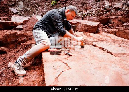 Eschbach, Deutschland. 20. September 2022. Sebastian Voigt, Museumsdirektor am Urweltmuseum Burg Lichtenberg, arbeitet an einer Ausgrabungsstätte auf der Madenburg. Quelle: Uwe Anspach/dpa/Alamy Live News Stockfoto