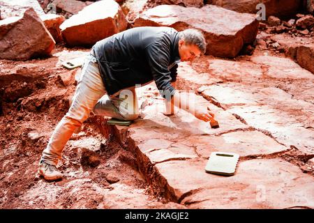 Eschbach, Deutschland. 20. September 2022. Sebastian Voigt, Museumsdirektor am Prähistorischen Weltmuseum Burg Lichtenberg, arbeitet an einer Ausgrabungsstätte auf Schloss Madenburg. Mehr als 200 Millionen Jahre trennen Voigt, einen Forscher, und seine spektakulären Funde, die er der Erde von Rheinland-Pfalz entrissen hat. (To dpa 'im 'Paradies der Dinosaurier' - Funde aus prähistorischen Zeiten inspirieren Forscher') Quelle: Uwe Anspach/dpa/Alamy Live News Stockfoto