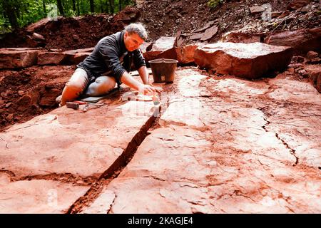 Eschbach, Deutschland. 20. September 2022. Sebastian Voigt, Museumsdirektor am Prähistorischen Weltmuseum Burg Lichtenberg, arbeitet an einer Ausgrabungsstätte auf Schloss Madenburg. Mehr als 200 Millionen Jahre trennen Voigt, den Forscher, und seine spektakulären Funde, die er der Erde von Rheinland-Pfalz entrissen hat. (To dpa 'im 'Paradies der Dinosaurier' - Funde aus prähistorischen Zeiten inspirieren Forscher') Quelle: Uwe Anspach/dpa/Alamy Live News Stockfoto