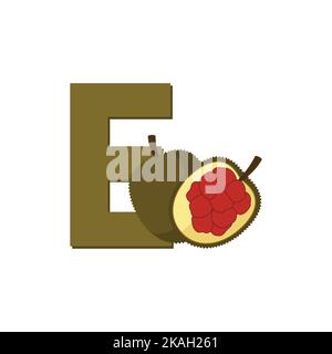 Entawak Fruit Alphabet. Clip Art Vektor, Illustration für Kinder. Buchstabe E Stock Vektor