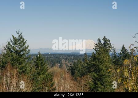 Wunderschöne Landschaft mit Blick auf den Vulkan Rainier von Olympia Stockfoto