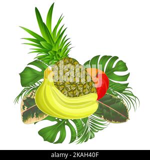 Tropische Früchte Set mit tropischen Blättern Ficus, Handfläche, Philodendron, auf weißem Hintergrund Vektor-Illustration editierbare Handzeichnungen Stock Vektor