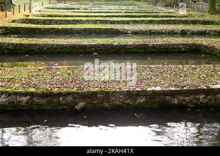 Forellenbrüterei, Szalajka Valley, Bukk National Park, Bukk Mountains, im Herbst, Nordungarn Stockfoto