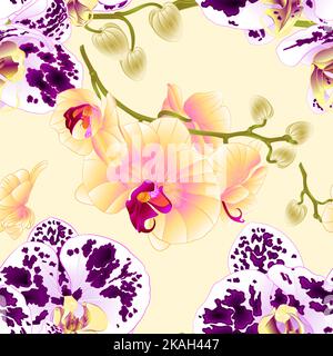 Nahtlose Textur Orchideen gelb und getupft Phalaenopsis Stiele mit Blumen und Knospen vintage Vektor Illustration editierbare Handzeichnungen Stock Vektor