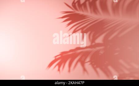 Schatten tropische Blätter von Palmen oder Farn auf pastellrosa Hintergrund. Trendiger Stil für Design. Abstrakte Hintergrundtextur von Schatten Palmblätter auf concr Stockfoto