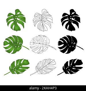 Philodendron tropischen Dschungel Blätter natürlich und Umriss und Silhouette auf weißem Hintergrund Vektor Illustration editierbar von Hand gezeichnet Stock Vektor