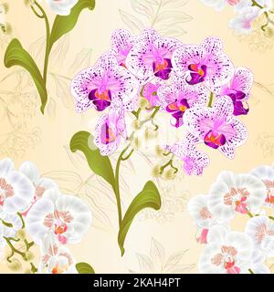 Nahtlose Textur Zweige Orchidee Phalaenopsis weißen und lila-weißen Blüten tropischen Pflanzen grünen Stamm und Knospen und Blätter vintage Vektor botanisch Stock Vektor