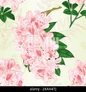 Nahtlose Textur Blumen Helles rosa Rhododendren Zweige Strauch vintage Vektor Illustration editierbar Hand zeichnen Stock Vektor