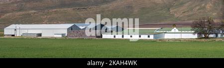 KOUE BOKKEVELD, SÜDAFRIKA - SEP 9, 2022: Panoramablick auf den Witzenberg Esperanto Pack Store in der Region Koue Bokkeveld am Westkap Stockfoto