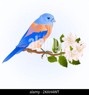 Kleine Drossel Bluebird songbirdon auf einem Apfel trre mit Blumen vintage Vektor Illustration editierbare Hand zeichnen Stock Vektor