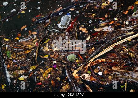 Tennisball und anderer Müll und Müll, der im Flusswasser schwimmt Stockfoto