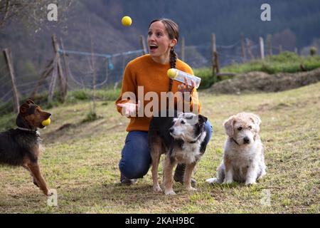 35-jährige kaukasische Frau mit langen braunen Haaren, die mit ihren drei Hunden im Garten mit Tennisbällen spielt. Glück. Familienportrait. Stockfoto