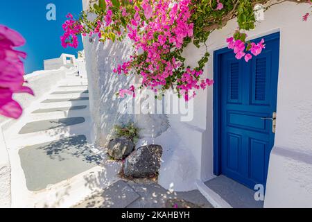 Europa Griechenland Santorini Reiseurlaub. Blick auf die malerische Aussicht auf das berühmte Reiseziel. Romantische blaue Tür mit rosa Blumen, idyllische Natur Stockfoto