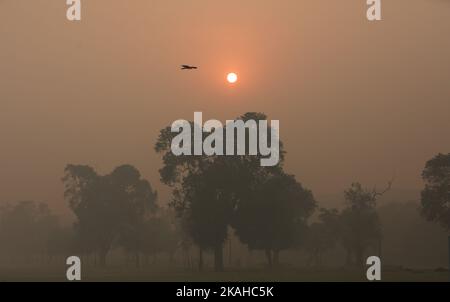 Neu-Delhi, Indien. 3.. November 2022. Ein Vogel fliegt inmitten von dickem Smog in Neu-Delhi, Indien, 3. November 2022. Die Luftverschmutzung in der indischen Hauptstadt Delhi und ihren umliegenden Gebieten ist nach wie vor ein Problem. Das Problem tritt vor allem in den Wintermonaten auf, wenn die Luftdichte vergleichsweise sinkt. Quelle: Javed Dar/Xinhua/Alamy Live News Stockfoto