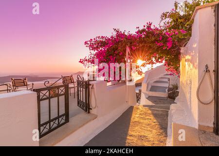 Sonnenuntergang auf der Insel Santorini. Caldera Blick mit Straße und Blumen, romantische Stimmung, paar Reise Urlaub Landschaft Ziel szenisch. Tapete mit Liebe Stockfoto