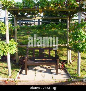 Farm Land Wälder und Kirchen Stockfoto