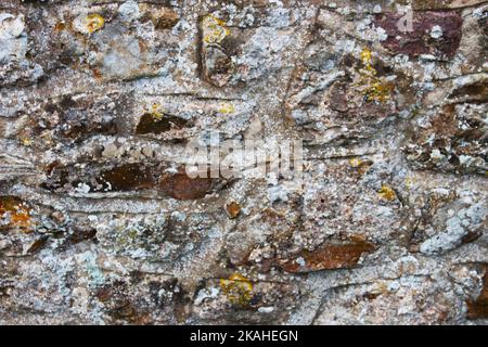 Farm Land Wälder und Kirchen Stockfoto