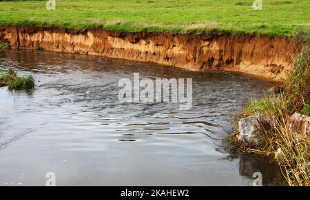 Farm Land Wälder und Kirchen Stockfoto