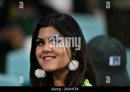 Sydney, Australien . 03.. November 2022. Pakistanische Fans beim ICC Men's World Cup Spiel T20 zwischen Pakistan und Südafrika auf dem Sydney Cricket Ground am 03. November 2022 in Sydney, Australien. BILD NUR FÜR REDAKTIONELLE VERWENDUNG - AUSSCHLIESSLICH KEINE KOMMERZIELLE NUTZUNG Quelle: Izhar Ahmed Khan/Alamy Live News/Alamy Live News Stockfoto