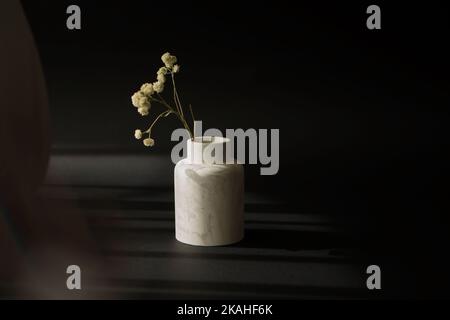 Blumen, getrocknete Blumen stehen in einer weißen Vase auf schwarzem Hintergrund. Stillleben im Dunkeln. Hochwertige Fotos. Stockfoto