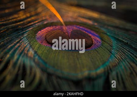 Schöne und bunte Pfau Vogel Feder abstraktes Muster Textur Design natürlichen Hintergrund, Tapete, Hintergrund. Leuchtendes Bokeh verwischt den Lichteffekt. Stockfoto