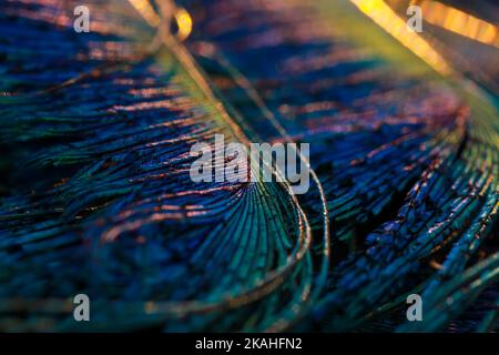 Schöne und bunte Pfau Vogel Federn nahtlose Linien abstrakte Muster Textur Design natürlichen Hintergrund. Glühende Bokeh verwischen Lichteffekt. Stockfoto