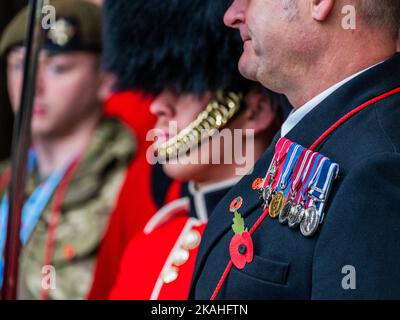 London, Großbritannien. 3.. November 2022. Vertreter aller Waffen sind dabei - der Botschafter der Royal British Legion, Ross Kemp, startet den diesjährigen London Poppy Day bei der Horse Guards Parade zusammen mit Mitgliedern der Irish Guards und ihrem irischen Wolfhound-Maskottchen Seamus. Kredit: Guy Bell/Alamy Live Nachrichten Stockfoto