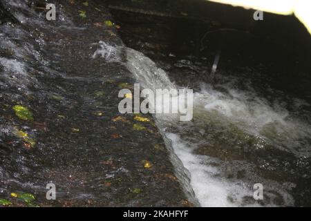 Farm Land Wälder und Kirchen Stockfoto