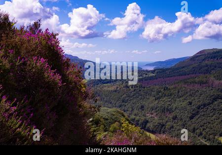 Blick vom Pecipice Walk in der Nähe von Dolgellau, Gwynedd North Wales, Großbritannien Stockfoto