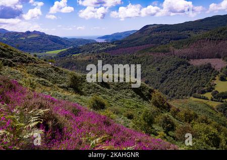 Blick vom Pecipice Walk in der Nähe von Dolgellau, Gwynedd North Wales, Großbritannien Stockfoto