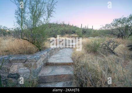 Wanderpfadtreppe im Freien des Sabino Canyon State Park Arizona. Gepflasterter Wanderweg für Wanderer im Bergrekreationsgebiet mit landschaftlich reizvoller Natur Stockfoto